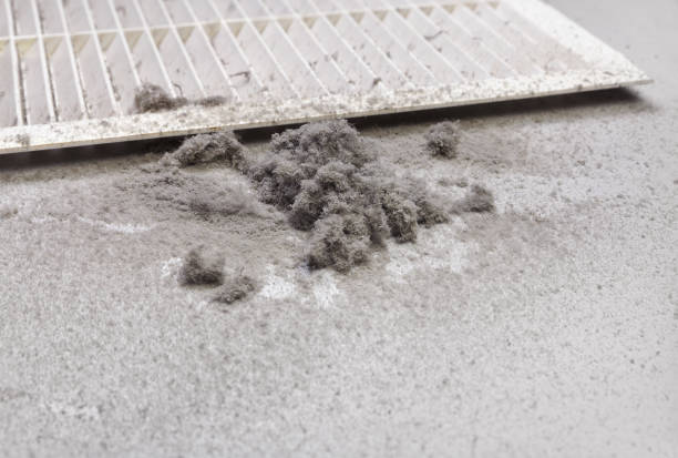 Best Emergency Air Duct Cleaning  in Vley Grande, AL