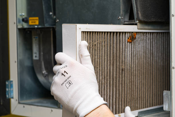 Best Dryer Vent Cleaning Services  in Vley Grande, AL