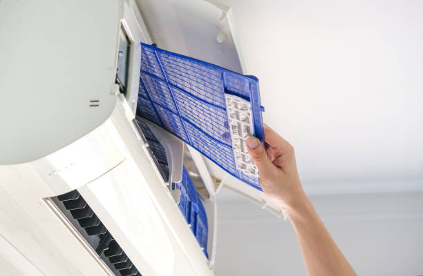 Best Air Vent Cleaning Services  in Vley Grande, AL