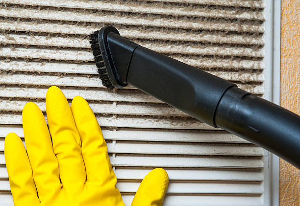 Best HVAC System Cleaning  in Vley Grande, AL