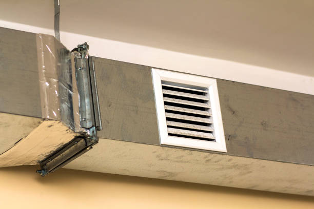 Best Residential Air Duct Cleaning  in Vley Grande, AL